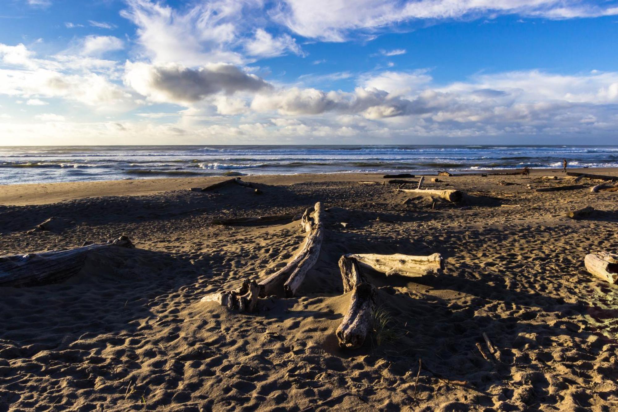 The Whale At Sandstone Point Apartamento Lincoln City Quarto foto